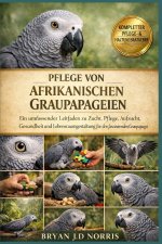 Pflege von afrikanischen Graupapageien