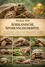 Afrikanische Sporenschildkröte