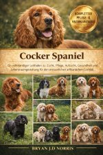 Cocker Spaniel
