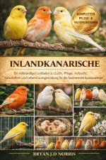 INLANDKANARISCHE