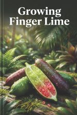 Growing Finger Lime