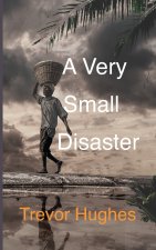 A Very Small Disaster