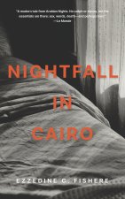 Nightfall in Cairo