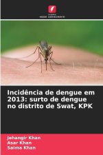 Incidência de dengue em 2013