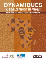 Dynamiques du développement en Afrique 2025