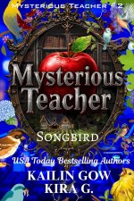 Mysterious Teacher