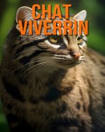 Chat Viverrin