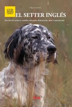 El setter inglés