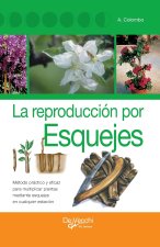 La reproducción por esquejes
