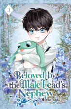 Beloved by the Male Lead's Nephew