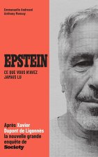 Epstein, la grande enquête