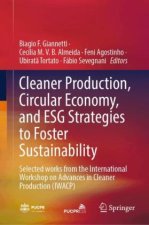 Cleaner Production, Circular Economy, and ESG Strategies to Foster Sustainability