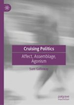 Cruising Politics