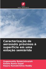 Caracterização de aerossóis próximos à superfície em uma estação semiárida