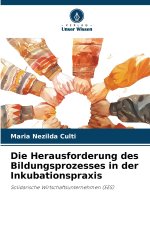 Die Herausforderung des Bildungsprozesses in der Inkubationspraxis