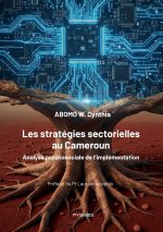 Les stratégies sectorielles au Cameroun