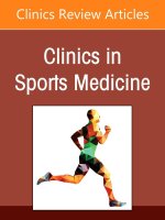 New Frontiers in Hip Arthroscopy, An Issue of Clinics in Sports Medicine