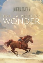 Finding Wonder