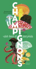 Champignons