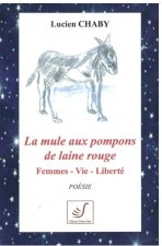 INSOMNIEUX AMOURS ET AUTRES TEXTES