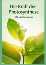 Die Kraft der Photosynthese
