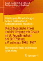 Die pädagogische Praxis und der Umgang mit Gewalt im St. Augustinusheim des SkF Freiburg e.V. zwischen 1985-1997
