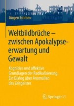 Weltbildbrüche - zwischen Apokalypseerwartung und Gewalt