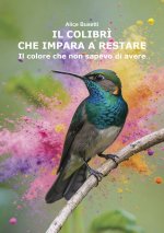 colibrì che impara a restare. Il colore che non sapevo di avere