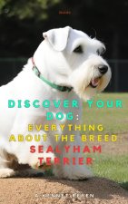 Discover your dog