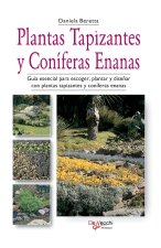 Plantas tapizantes y coníferas enanas