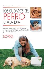 Los cuidados del perro día a día