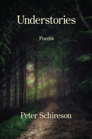 Understories