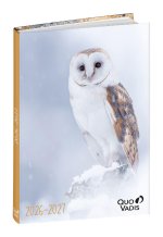 Schülerkalender Forum Tiere Eule 2026 / 2027