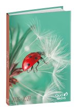 Schülerkalender Forum Tiere Marienkäfer 2026 / 2027