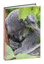 Schülerkalender Forum Tiere Koala 2026 / 2027