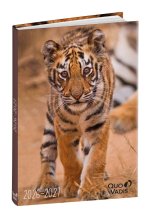 Schülerkalender Forum Tiere Tiger 2026 / 2027