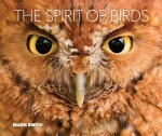 The Spirit of Birds
