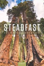 Steadfast 2027