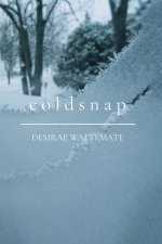 Coldsnap