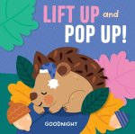 Lift Up and Pop Up - Goodnight