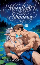 BL Hentai: Moonlight and Shadow