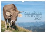 Allgäuer Rindvieh 2027 (Wandkalender 2027 DIN A3 quer), CALVENDO Monatskalender