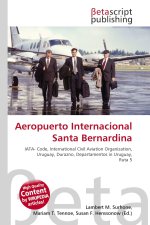Aeropuerto Internacional Santa Bernardina