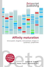 Affinity maturation