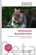 Afrikanische Buschhörnchen