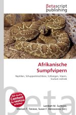 Afrikanische Sumpfvipern