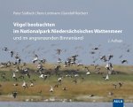 Vögel beobachten im Nationalpark Niedersächsisches Wattenmeer und im angrenzenden Binnenland