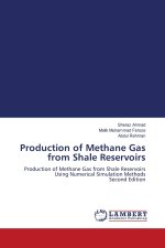 Production of Methane Gas from Shale Reservoirs
