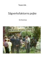 Sågverksfaktorns pojke