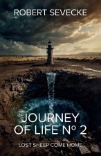 Journey of Life N°2, Lost sheep come home